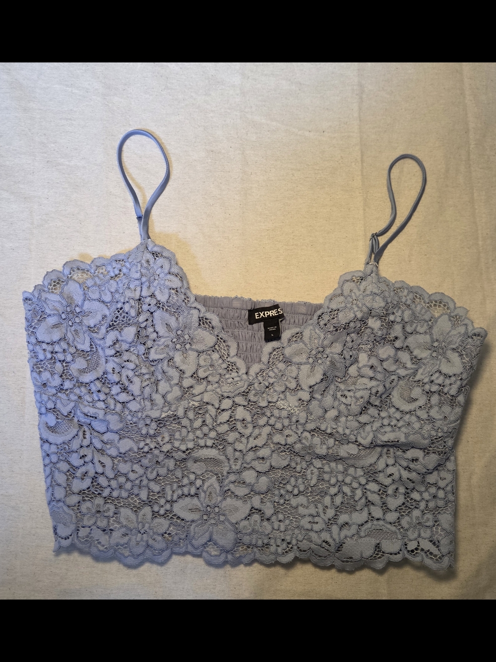 Express Blue Floral Lace Cami Crop Top